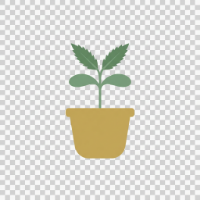Cannabis growing education