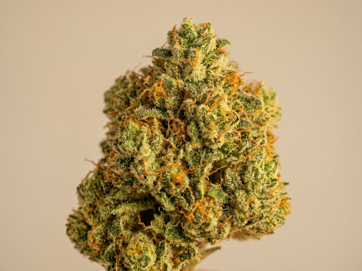 Sour Diesel cannabis flower