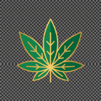 Cannabis flower representing strain education
